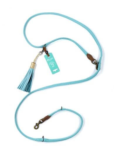 ② DOG WITH A MISSION｜エクストラロング・アクアブルー・ドッグリード